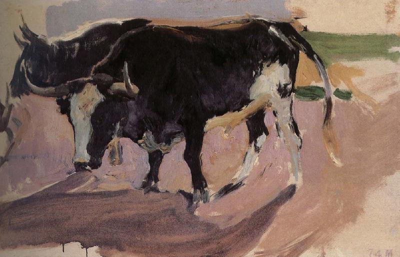 Joaquin Sorolla Bull Project oil painting picture